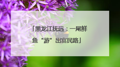 黑龙江抚远：一尾鲜鱼“游”出富民路
