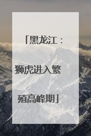 黑龙江：狮虎进入繁殖高峰期