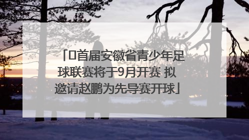 ﻿首届安徽省青少年足球联赛将于9月开赛 拟邀请赵鹏为先导赛开球