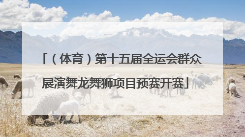 （体育）第十五届全运会群众展演舞龙舞狮项目预赛开赛
