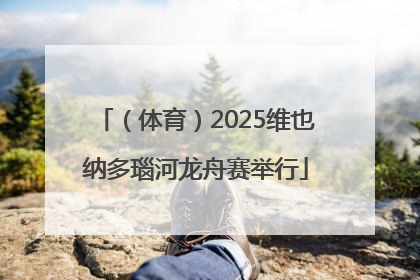（体育）2025维也纳多瑙河龙舟赛举行