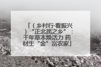 （乡村行·看振兴）“正北芪之乡”：千年草本焕活力 药材生“金”富农家