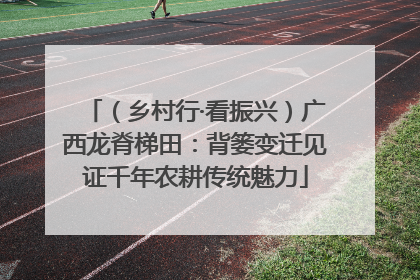 （乡村行·看振兴）广西龙脊梯田：背篓变迁见证千年农耕传统魅力