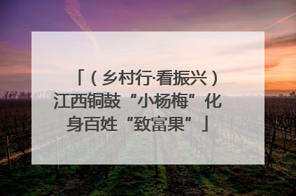（乡村行·看振兴）江西铜鼓“小杨梅”化身百姓“致富果”
