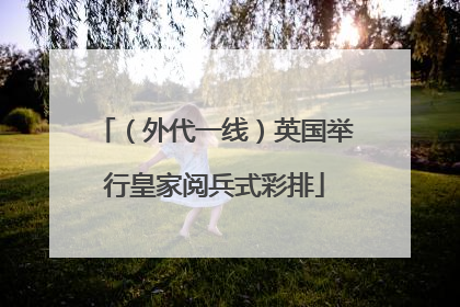 （外代一线）英国举行皇家阅兵式彩排