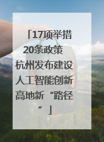 17项举措20条政策 杭州发布建设人工智能创新高地新“路径”