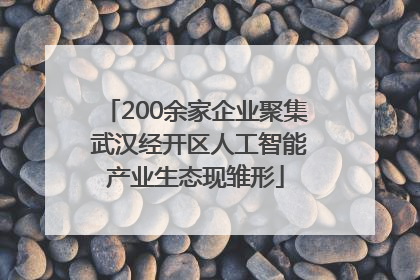 200余家企业聚集 武汉经开区人工智能产业生态现雏形