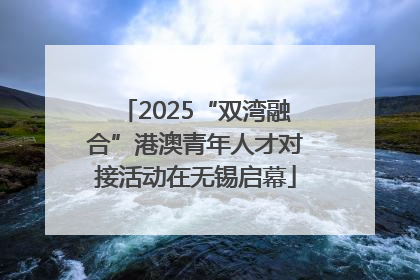 2025“双湾融合”港澳青年人才对接活动在无锡启幕