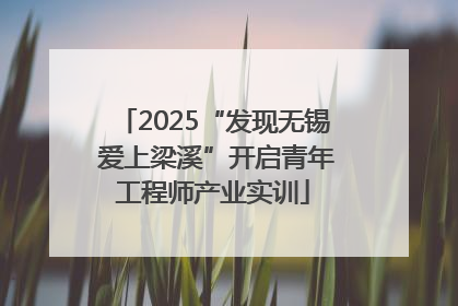 2025“发现无锡 爱上梁溪”开启青年工程师产业实训