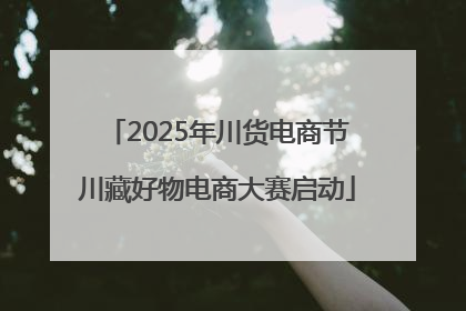 2025年川货电商节川藏好物电商大赛启动
