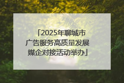 2025年聊城市广告服务高质量发展媒企对接活动举办