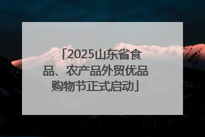 2025山东省食品、农产品外贸优品购物节正式启动