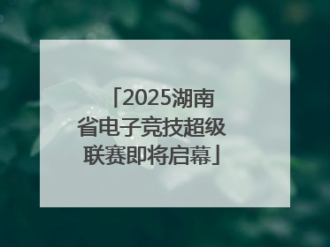 2025湖南省电子竞技超级联赛即将启幕