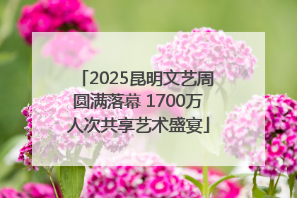 2025昆明文艺周圆满落幕 1700万人次共享艺术盛宴