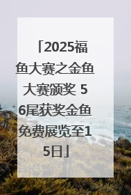 2025福鱼大赛之金鱼大赛颁奖 56尾获奖金鱼免费展览至15日