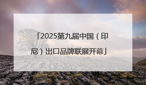 2025第九届中国（印尼）出口品牌联展开幕