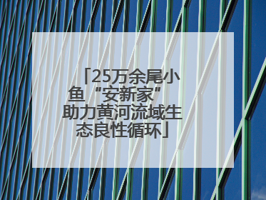 25万余尾小鱼“安新家” 助力黄河流域生态良性循环