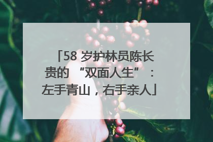 58 岁护林员陈长贵的 “双面人生”：左手青山，右手亲人