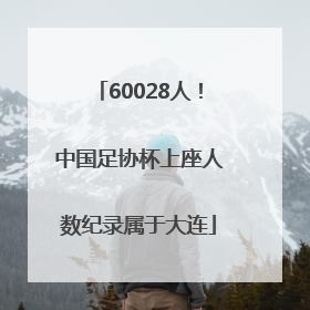 60028人！中国足协杯上座人数纪录属于大连