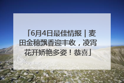 6月4日最佳情报｜麦田金穗飘香迎丰收，凌霄花开娇艳多姿！恭喜
