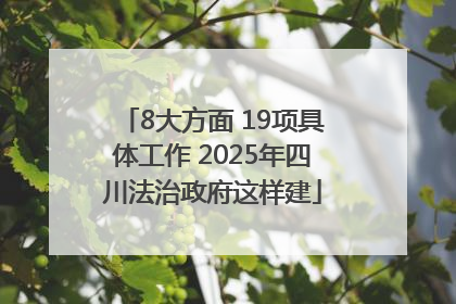 8大方面 19项具体工作 2025年四川法治政府这样建