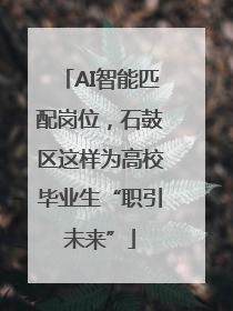 AI智能匹配岗位，石鼓区这样为高校毕业生“职引未来”