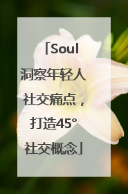 Soul洞察年轻人社交痛点，打造45°社交概念